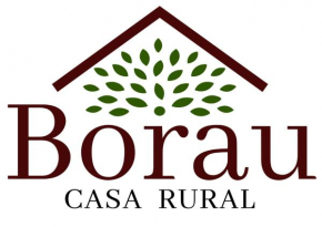 Casa Rural Borau